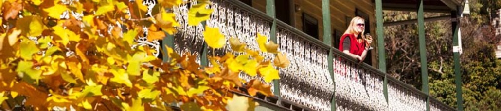 Standard banner april2011 01