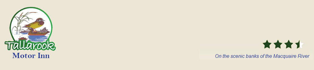 Standard bookingbuttontallarookbanner