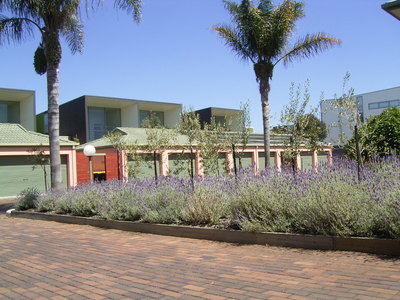 Holiday Property Sales and Rentals