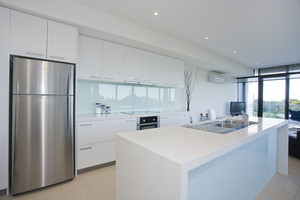 DELUXE APARTMENT #101