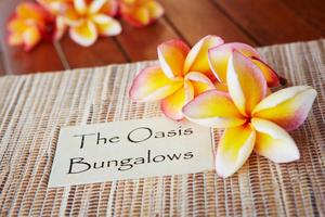 Oasis Bungalows The Shack At Bingin Beach